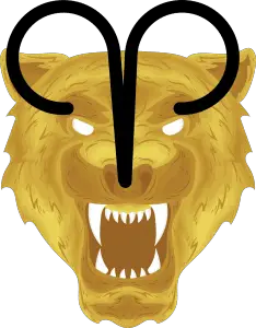 aries tiger