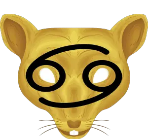 cancer rat