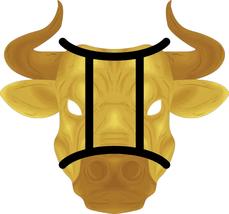 gemini ox