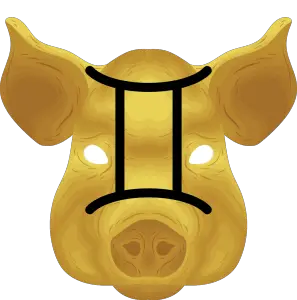 gemini pig