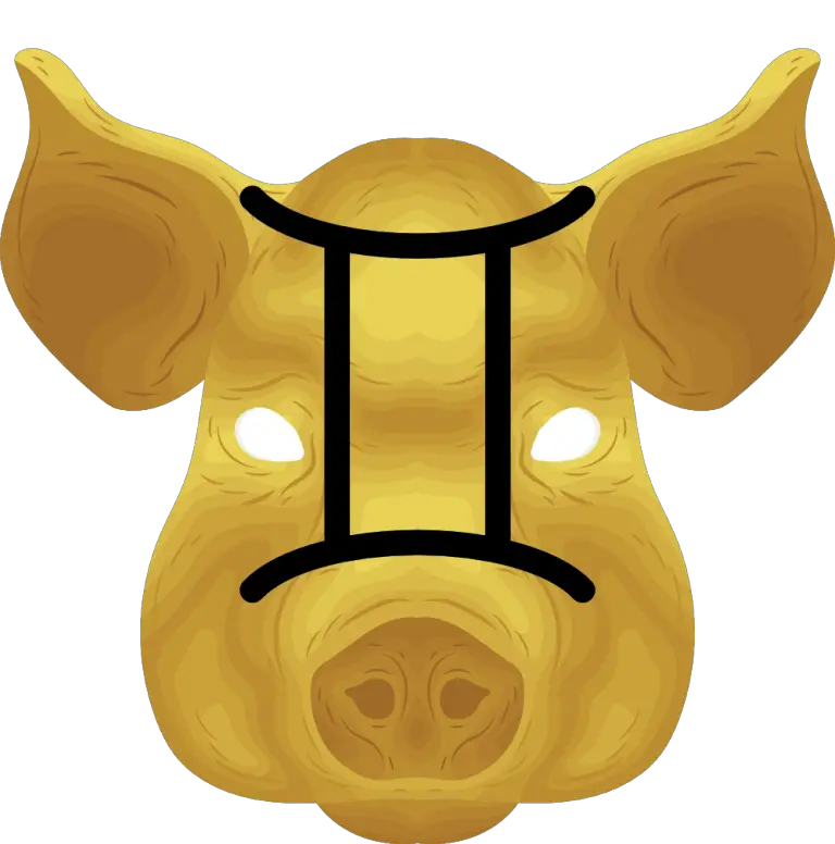 gemini pig