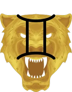 gemini tiger