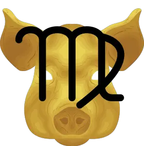 virgo pig