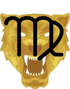 virgo tiger