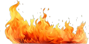 fire signs