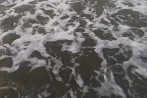 water signs